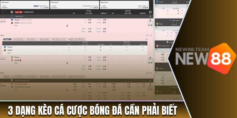 5 Kinh Nghiệm Cá Cược Bóng Đá Thắng Lớn Từ Chuyên Gia 1 3 dạng kèo bóng đá phổ biến cần phải biết