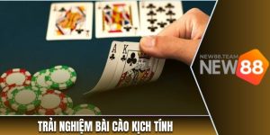 Bài cào