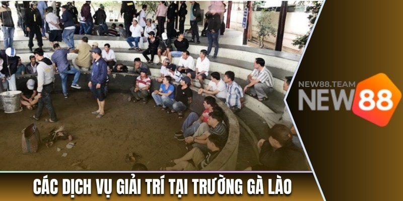Trường Gà Lào - Xem Đá Gà Trực Tiếp Từ Sân Chơi Đẳng Cấp 2 Các dịch vụ giải trí tại trường gà Lào