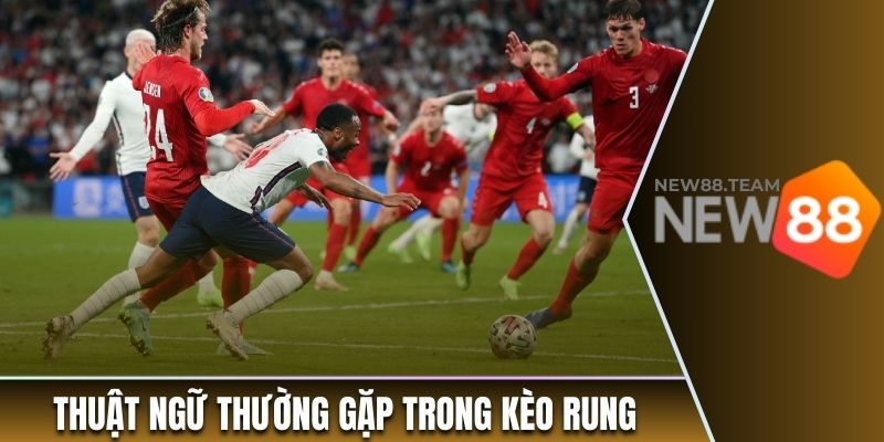 Hướng Dẫn Tân Binh Cách Đọc Và Chơi Kèo Rung Từ A Đến Z 2 Các thuật ngữ thường bắt gặp trong kèo cược rung
