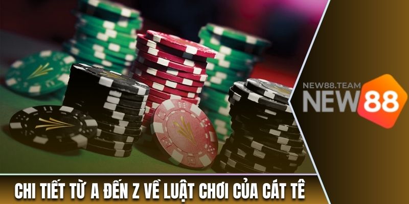 Hướng Dẫn Chơi Catte Từ A đến Z Cho Những Tân Binh 2 Chi tiết từ A đến Z về luật chơi của Cát Tê