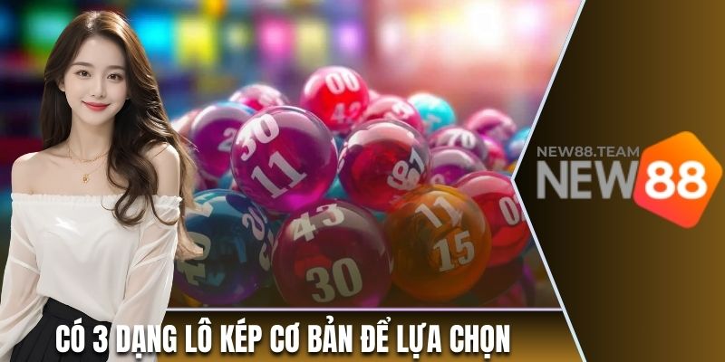 Lô Kép New88 - Tìm Hiểu Định Nghĩa Và Phân Loại Cơ Bản 2 Có 3 dạng lô kép cơ bản để lựa chọn