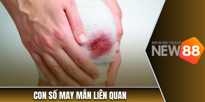 Nằm Mơ Thấy Máu Biểu Thị Điều Gì? Giải Mã Ý Nghĩa Cụ Thể 3 Con số may mắn liên quan