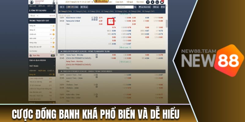 Kèo Châu Á - Hình Thức Cá Cược Thú Vị Nhất Tại New88 3 Cược đồng banh khá phổ biến và dễ hiểu