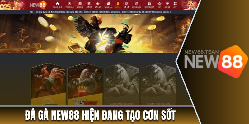 Điểm Danh Top 5 Trang Đá Gà Uy Tín Và Hot Nhất Năm 2025 2 Đá gà New88 hiện đang tạo cơn sốt