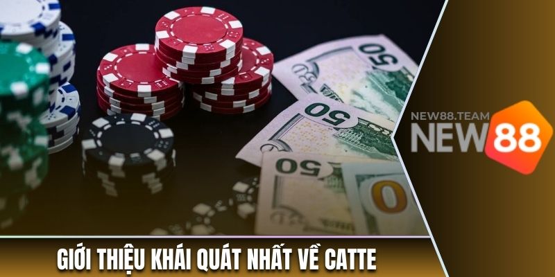 Hướng Dẫn Chơi Catte Từ A đến Z Cho Những Tân Binh 1 Giới thiệu khái quát nhất về Catte
