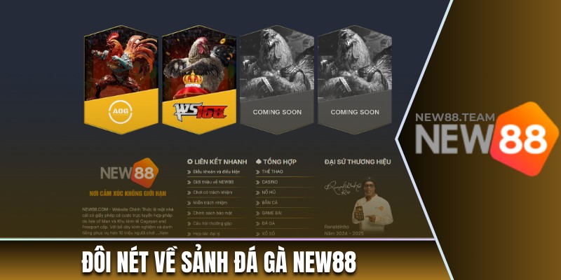 Đá gà 1 Giới thiệu tổng quan về sảnh đá gà New88