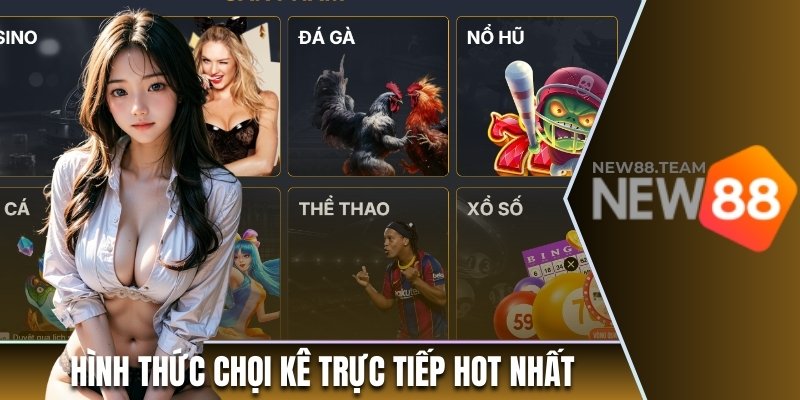 Xem Đá Gà Trực Tiếp - Theo Dõi Các Màn So Tài Nảy Lửa 3 Hình thức chọi kê trực tiếp hot nhất