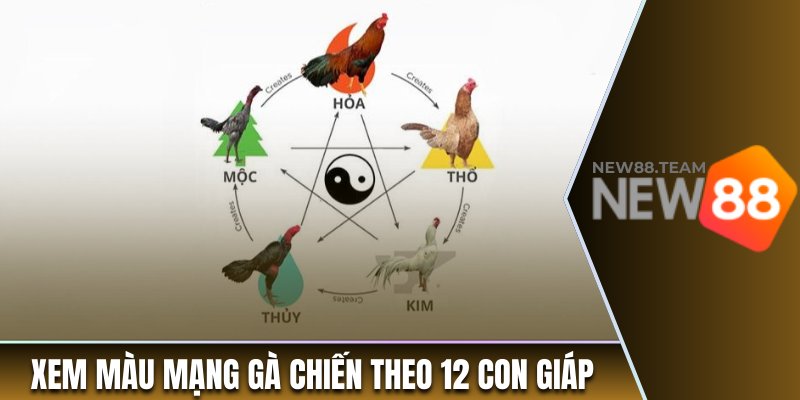 Màu Mạng Đá Gà - Những Thông Tin Thú Vị Cho Người Chơi 3 Hướng dẫn xem màu mạng gà chiến theo 12 con giáp