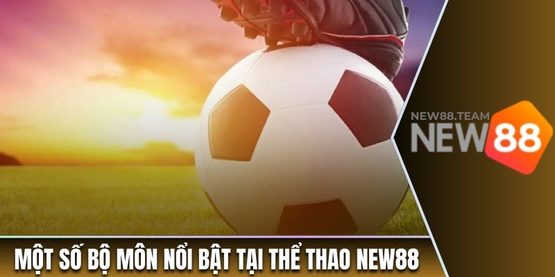 Thể thao 3 Một số bộ môn nổi bật tại thể thao tại nhà cái New88