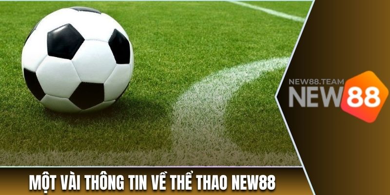 Thể thao 1 Một vài thông tin về sảnh cá cược thể thao New88