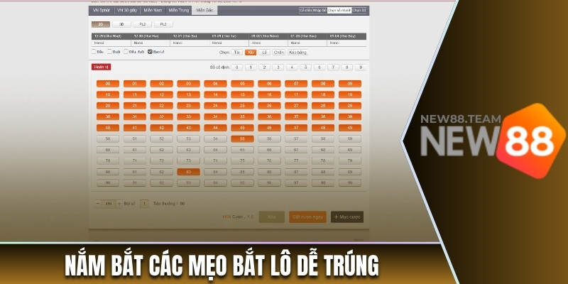 Cược Bao Lô Tại New88 - Hướng Dẫn Chi Tiết Cách Chơi 3 Nắm bắt các mẹo bắt lô dễ trúng