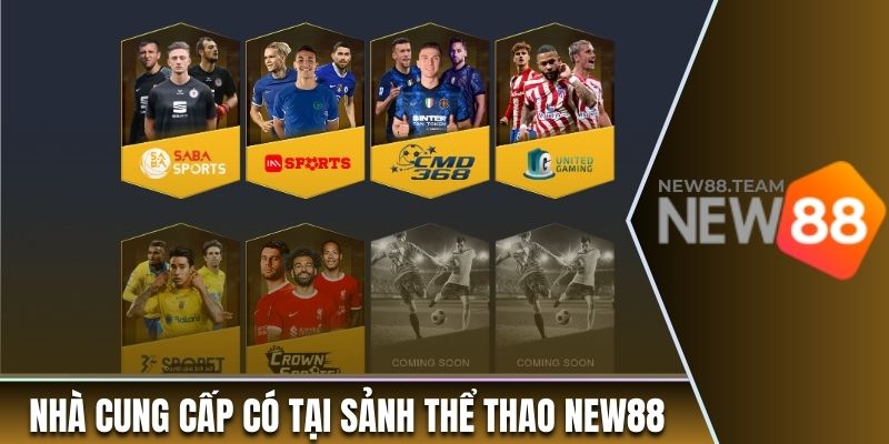 Thể thao 2 Những nhà cung cấp nổi tiếng có tại sảnh thể thao New88