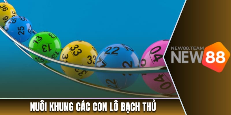 Bạch Thủ Lô - Khái Niệm, Cách Chơi Và Bí Quyết Soi Cầu 2 Nuôi khung các con lô bạch thủ