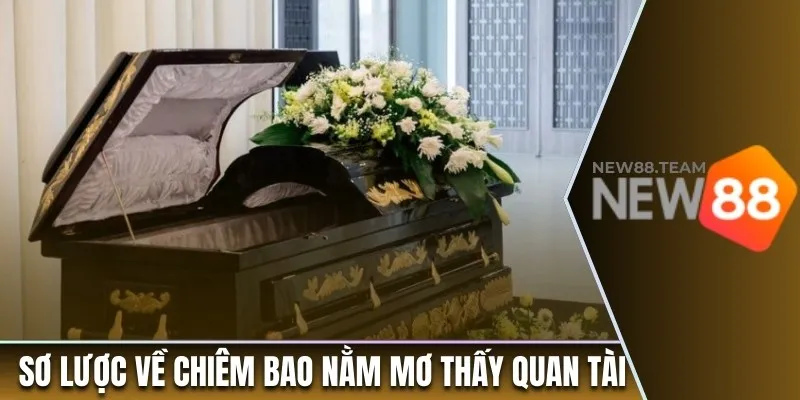 Nằm Mơ Thấy Quan Tài - Luận Giải Chi Tiết Chiêm Bao 1 Sơ lược về chiêm bao nằm mơ thấy quan tài