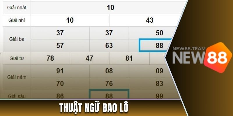 Tổng Hợp Thuật Ngữ Lô Đề - Phương Pháp Và Hình Thức Cược 1 Thuật ngữ bao lô trong cá cược