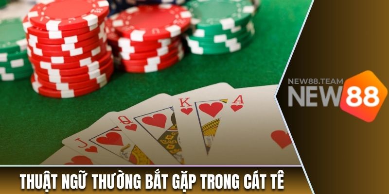 Hướng Dẫn Chơi Catte Từ A đến Z Cho Những Tân Binh 3 Thuật ngữ thường bắt gặp trong Cát Tê