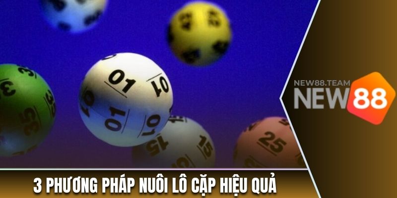 Lô Cặp Là Gì? +3 Phương Pháp Nuôi Lô Theo Cặp Bất Bại 2 Top 3 phương pháp nuôi lô cặp hiệu quả