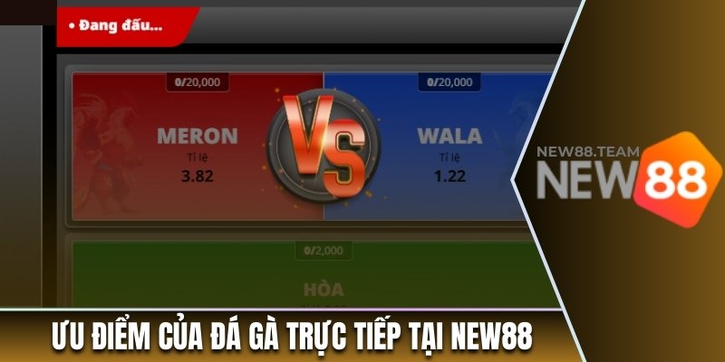 Xem Đá Gà Trực Tiếp - Theo Dõi Các Màn So Tài Nảy Lửa 2 Ưu điểm của đá gà trực tiếp tại New88